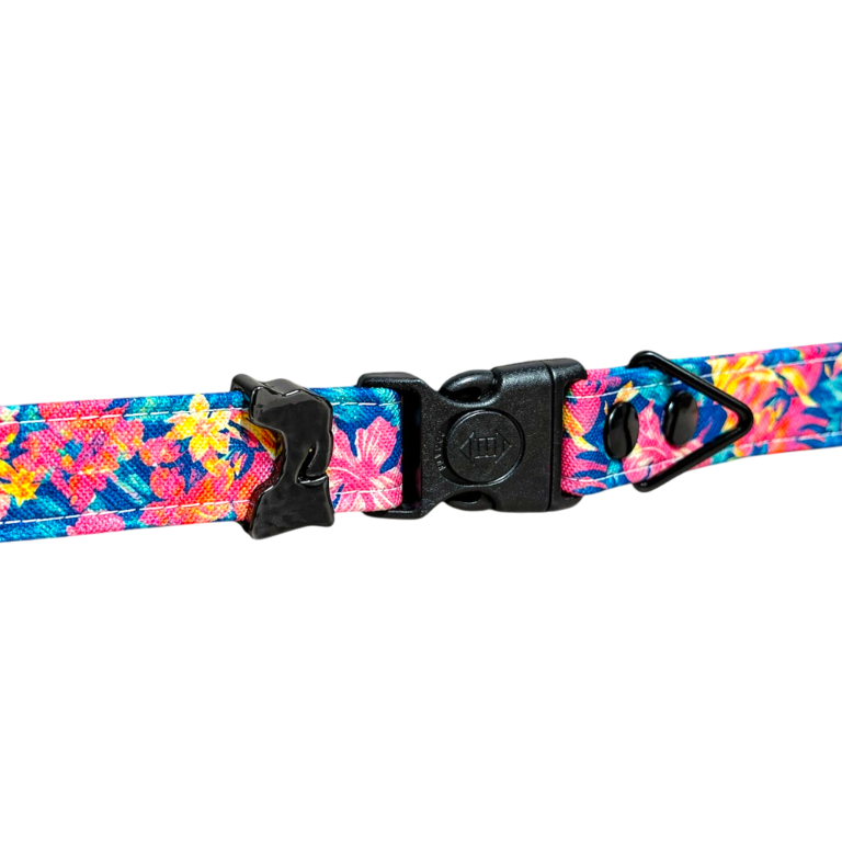 Tropical Floral